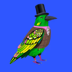 Crazy Crow #625
