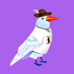 Crazy Crow #3248