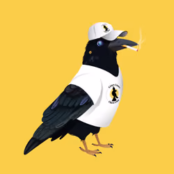 Crazy Crow #6067