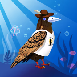 Crazy Crow #3372