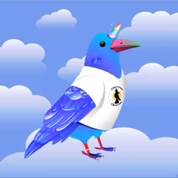 Crazy Crow #7884
