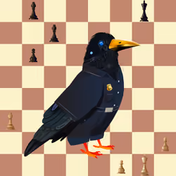 Crazy Crow #6956