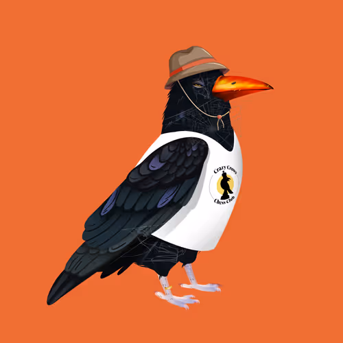 Crazy Crows Chess Club