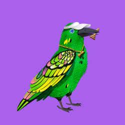 Crazy Crow #4793