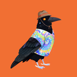 Crazy Crow #6108