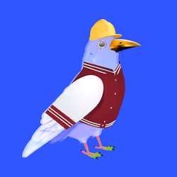 Crazy Crow #7852