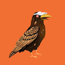 Crazy Crow #974