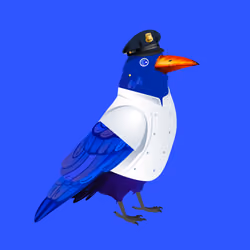 Crazy Crow #7913
