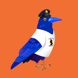 Crazy Crow #7887