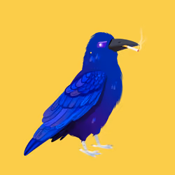 Crazy Crow #3535