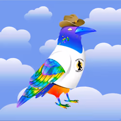 Crazy Crow #3922