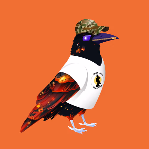 Crazy Crow #4845