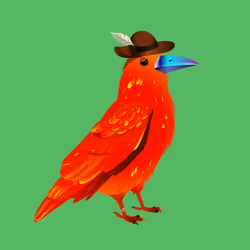 Crazy Crow #1693