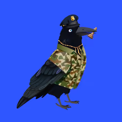 Crazy Crow #6649