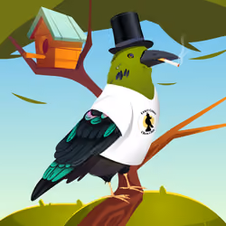 Crazy Crow #2664