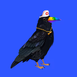 Crazy Crow #678