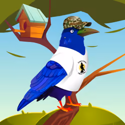 Crazy Crow #5757