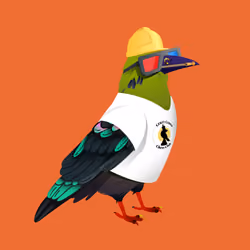 Crazy Crow #1360