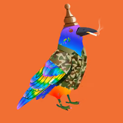 Crazy Crow #1180