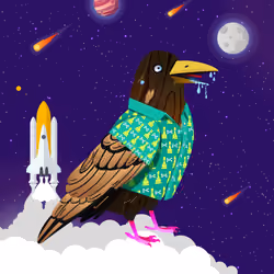 Crazy Crow #3445