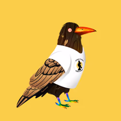 Crazy Crow #2052
