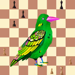 Crazy Crow #3336