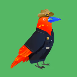 Crazy Crow #6408