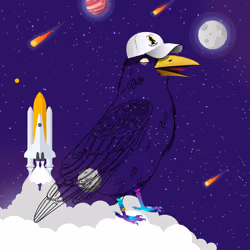 Crazy Crow #7155