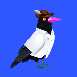 Crazy Crow #3122