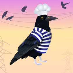 Crazy Crow #4329