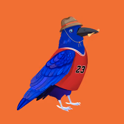 Crazy Crow #5099