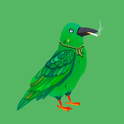 Crazy Crow #7169
