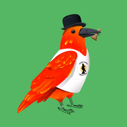 Crazy Crow #7091
