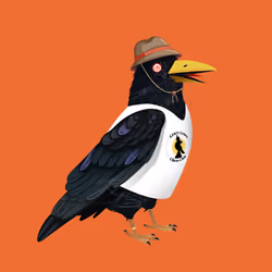 Crazy Crow #4892