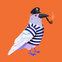 Crazy Crow #3247