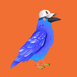 Crazy Crow #3863