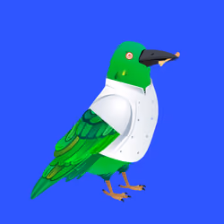 Crazy Crow #2207