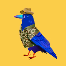 Crazy Crow #1337