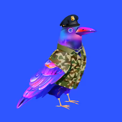 Crazy Crow #6781