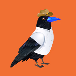 Crazy Crow #5725
