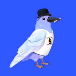 Crazy Crow #4371