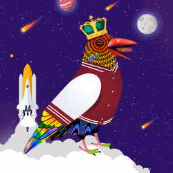Crazy Crow #2058