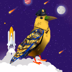 Crazy Crow #3308