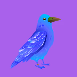 Crazy Crow #5952