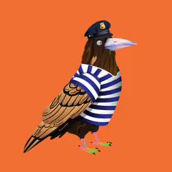 Crazy Crow #7707