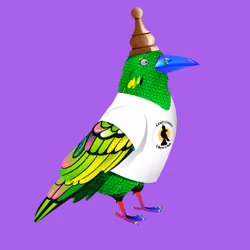 Crazy Crow #1426