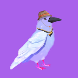 Crazy Crow #4536