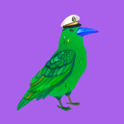 Crazy Crow #7636