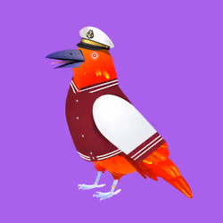 Crazy Crow #6798