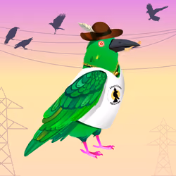 Crazy Crow #346